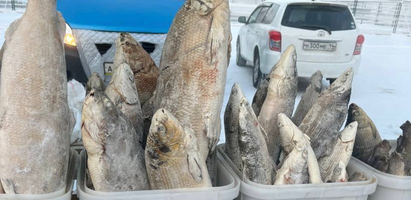 В Якутск доставили 524 тонны северной рыбы