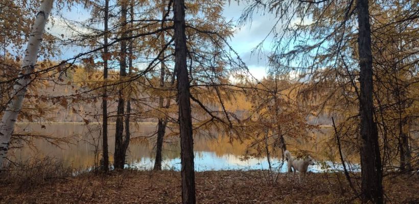 Октябрь будет теплым - прогноз от народного синоптика Тускула - Тараса Тарасова