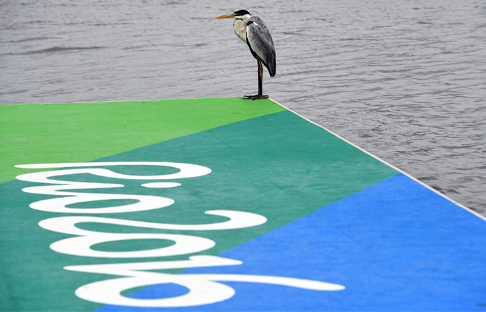 Россия опустилась на седьмое место в медальном зачете Олимпиады