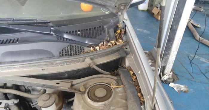 17 владельцев автосервисов в Якутске оштрафованы за нарушение законодательства