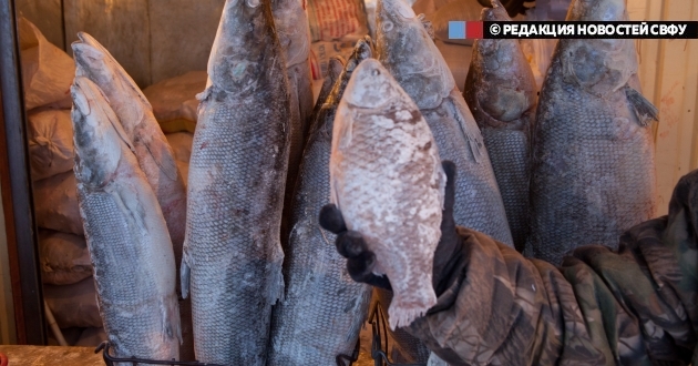 «Чтобы приспособиться к среде Якутии, нужно соблюдать «северный рацион»