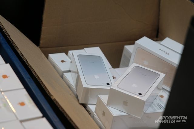 ФАС начала проверку цен на новые iPhone