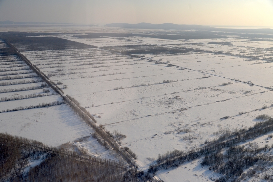Более двух тысяч заявок на Дальневосточный гектар подано в Якутии
