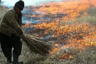 В Чурапче сельхозпал привел к лесному пожару
