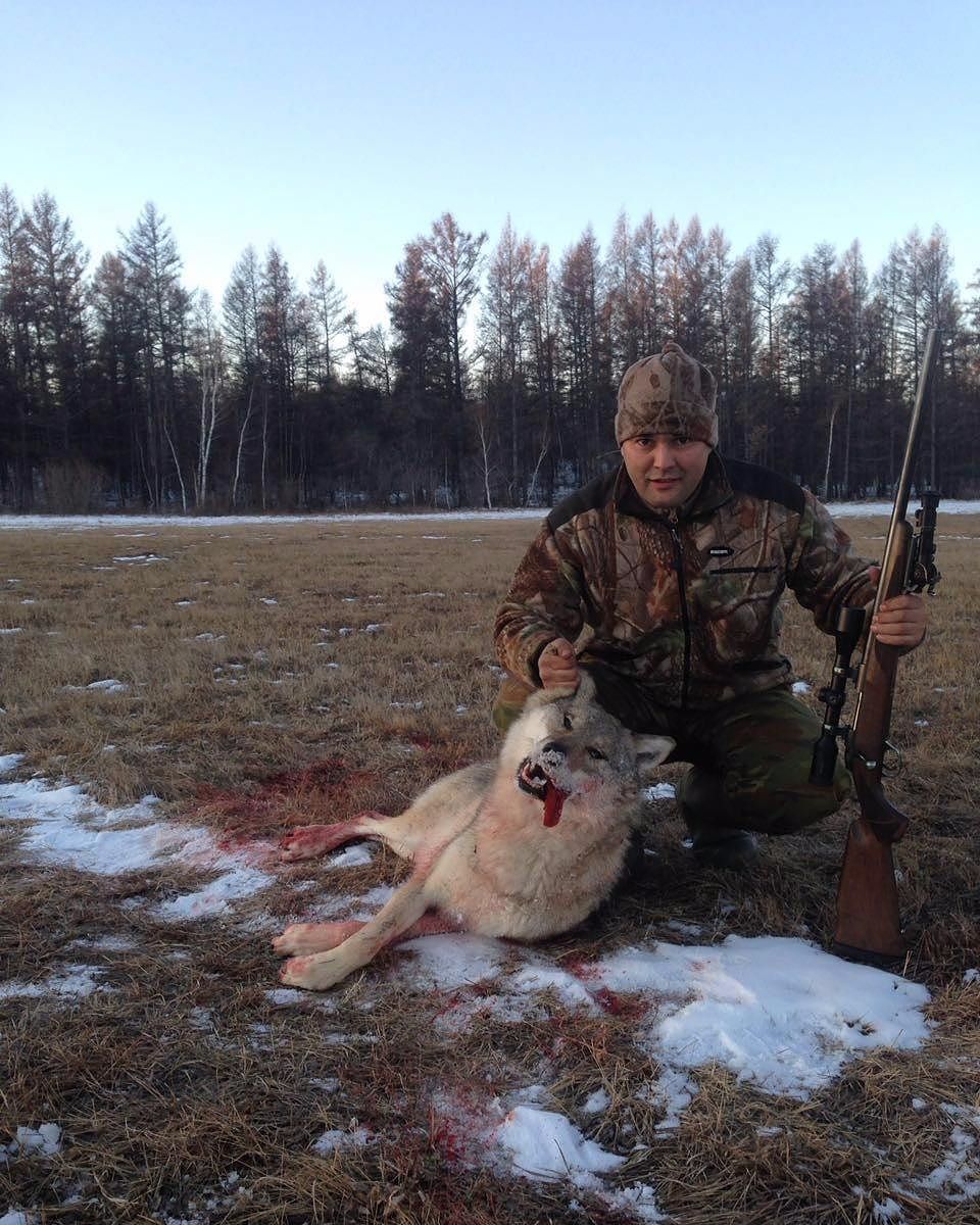 Фотовзгляд: Игорь Егоров добыл волка