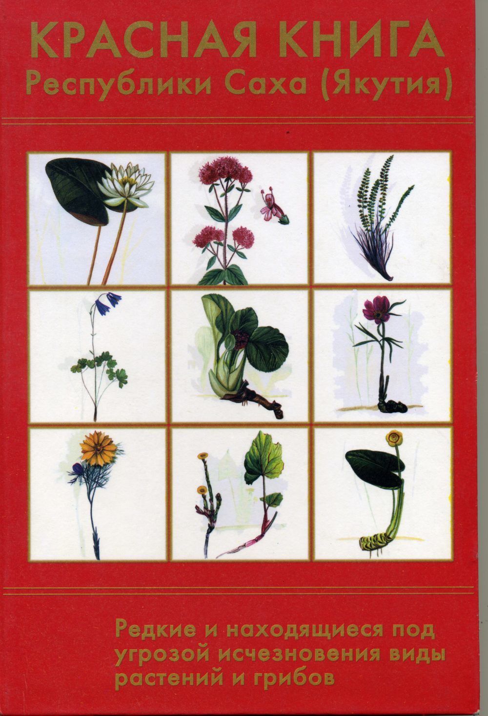 На фотоконкурс «Красная книга Якутии» поступило более 60 работ