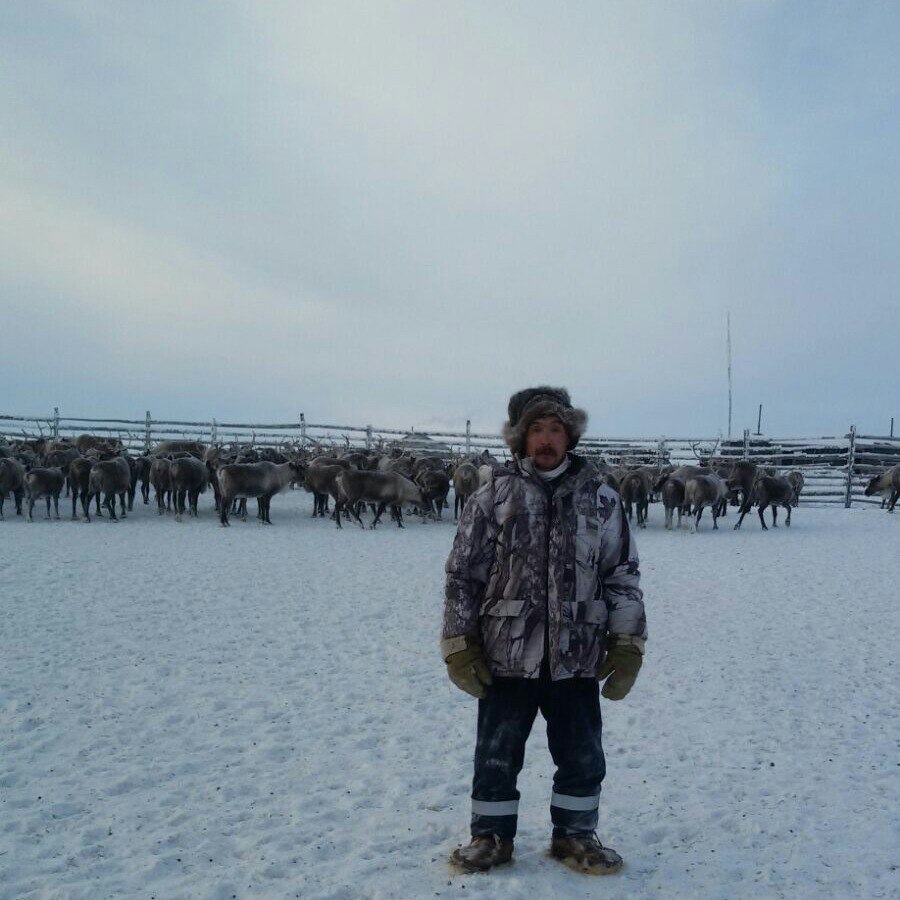 «Выживший в тундре не является оленеводом», - сообщили в общине «Турваургин»
