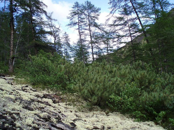 Двое геологов из разыскиваемой группы в Булунском улусе утонули