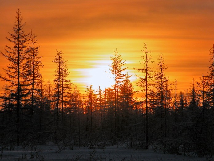Оленевод выживал в тундре 44 дня