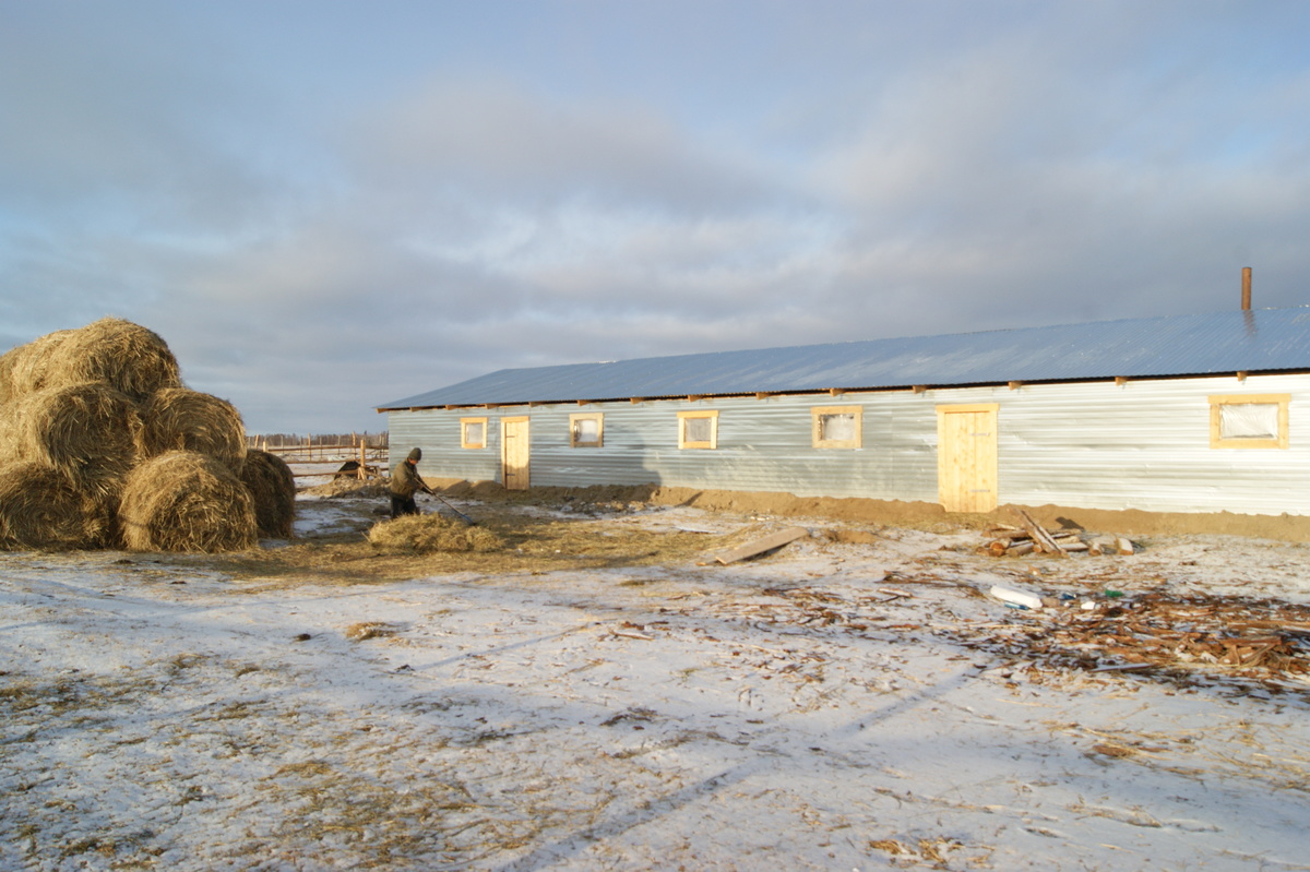 Семья Ивановых из Намского улуса Якутии - обладатели гранта «Поддержка начинающих фермеров»