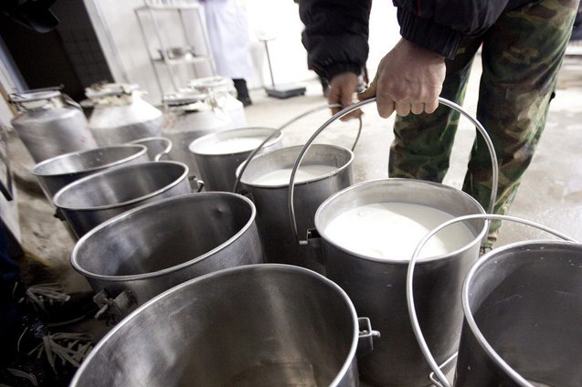 В Якутии продолжается сезон большого молока