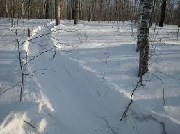 В Намском районе ведутся поиски пропавшего без вести мужчины.