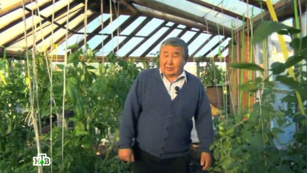 НТВ: Изобретатель из Якутска превратил крышу бани в теплицу (+видео)