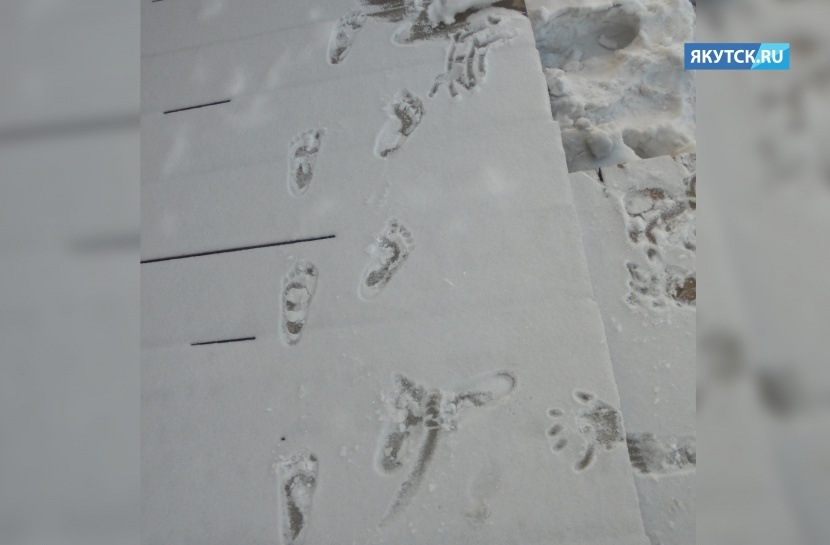 2518ebffb63525784f9a8dc16c039ff4