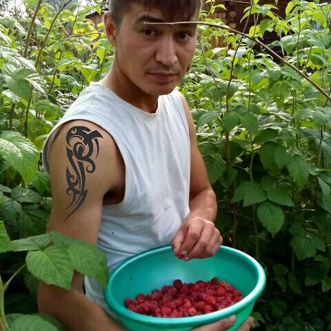 Внимание, розыск!