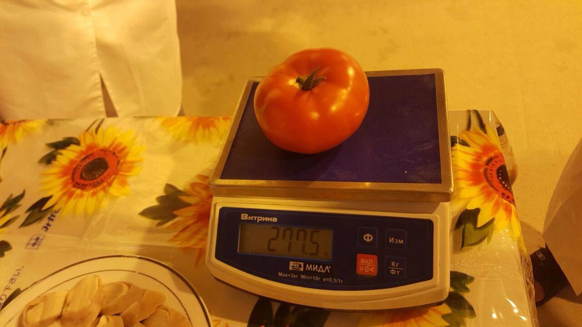 Продавцы овощных магазинов продают китайские помидоры под видом сырдахских