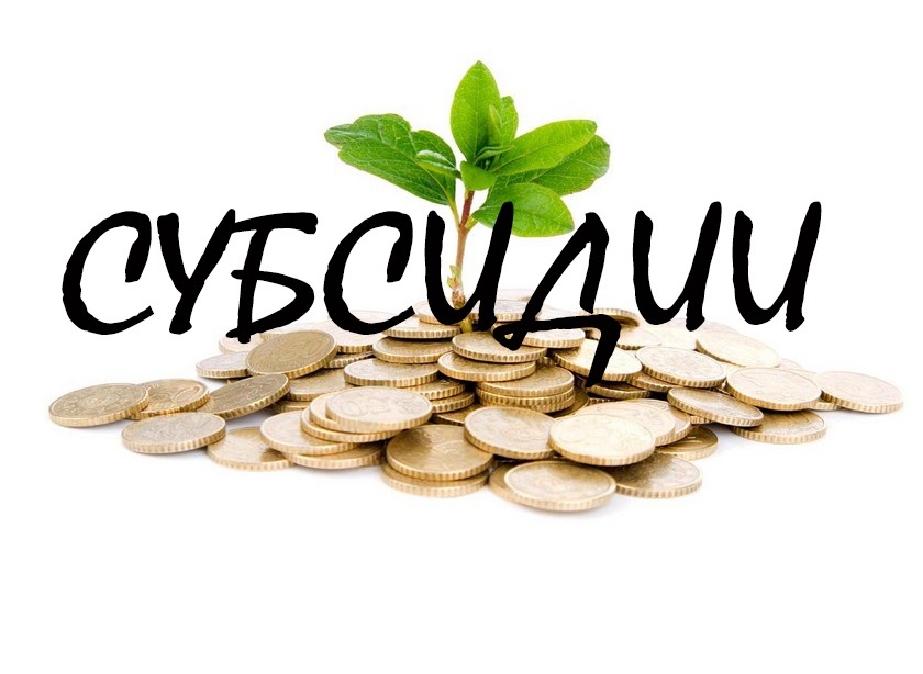 В Якутии возбуждено уголовное дело за мошенничество с субсидиями