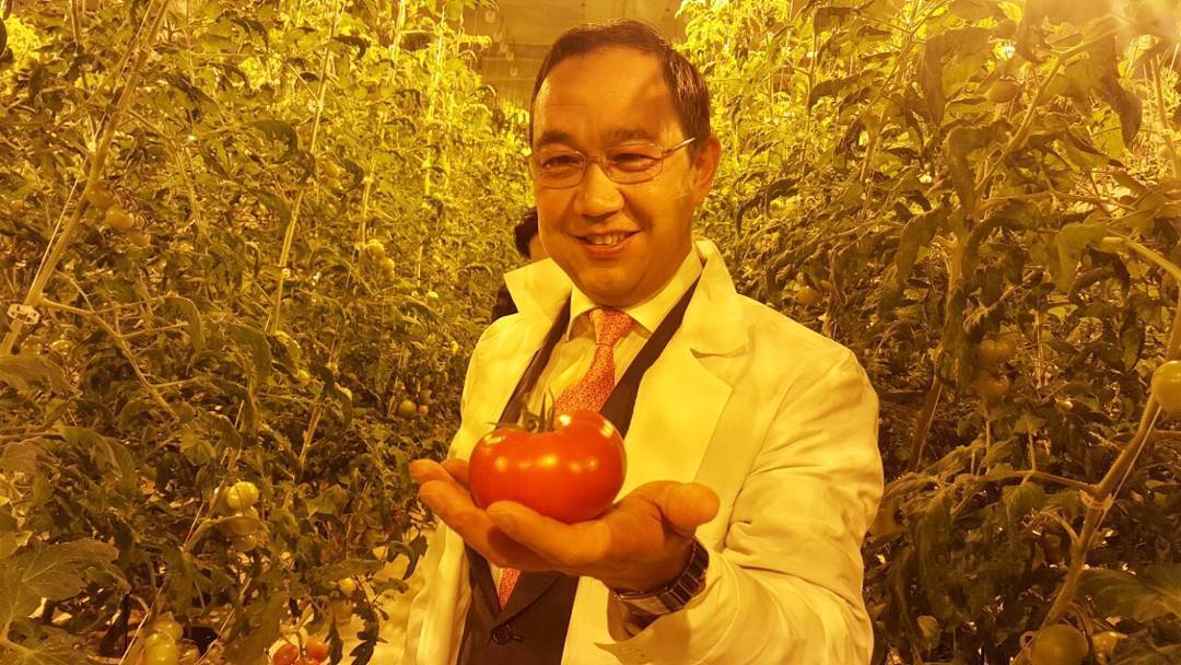 Айсен Николаев сорвал первый помидор