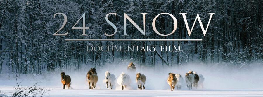 Фильм "24 снега" номинирован на премию «Золотой Орел»