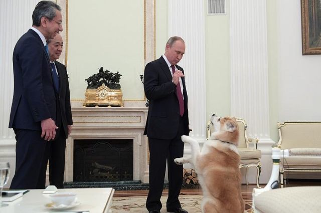 Путин показал журналистам из Японии свою собаку Юмэ