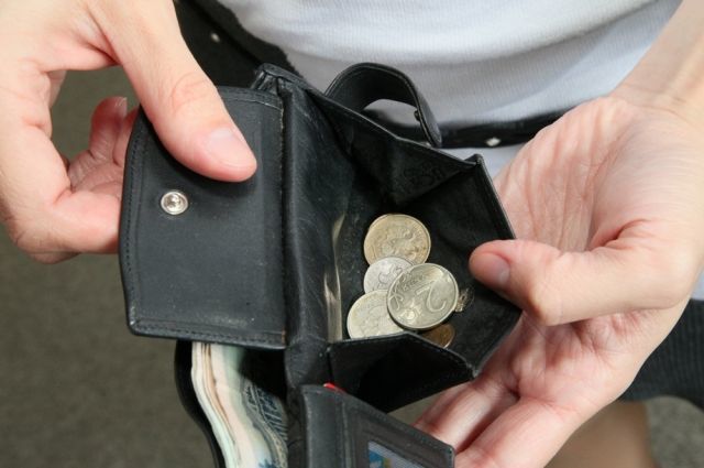 Россияне назвали главной проблемой 2016 года низкие зарплаты