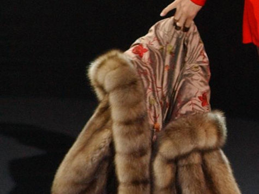 В Нерюнгри раскрыта кража норковой шубы из офиса