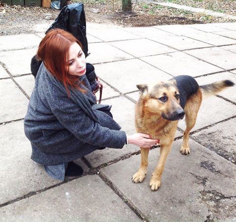 «У мэра Якутска больше возможностей оплатить услуги журналистов, чем у собак», - Марина Ахмедова