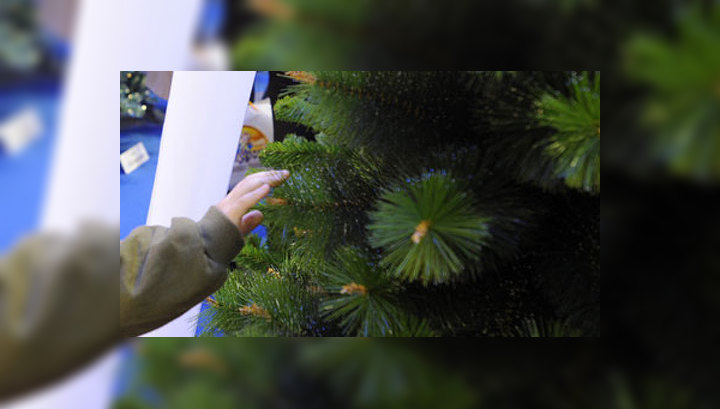 Новогоднюю елку из якутского ресторана украл судимый амурчанин