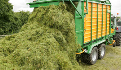 О зимовке скота и лошадей в арктических и северных районах республики