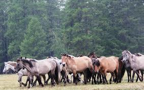 Якутия заняла первое место по реализации федеральной целевой программы по устойчивому развитию сельских территорий