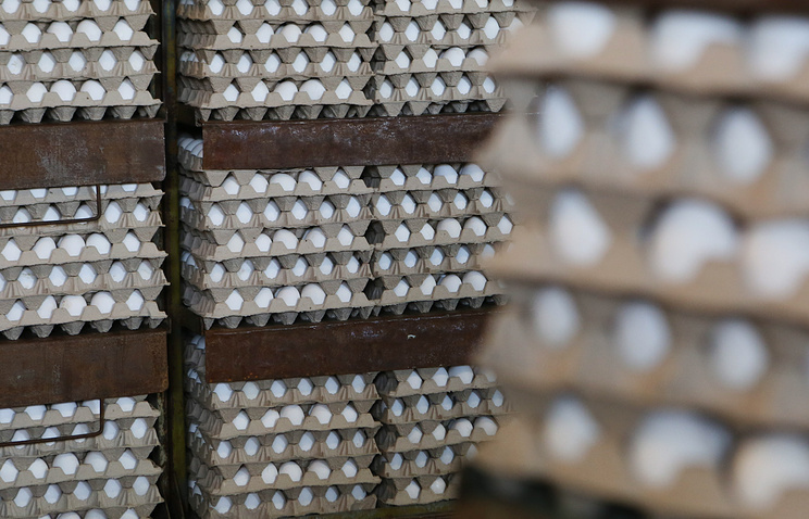 Россельхознадзор запретил поставки мяса птицы из ряда стран ЕС