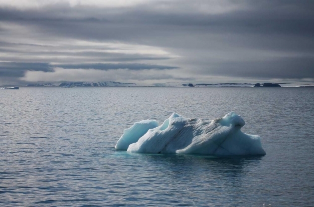 Арктическая экспедиция Минобороны РФ преодолела 600 километров