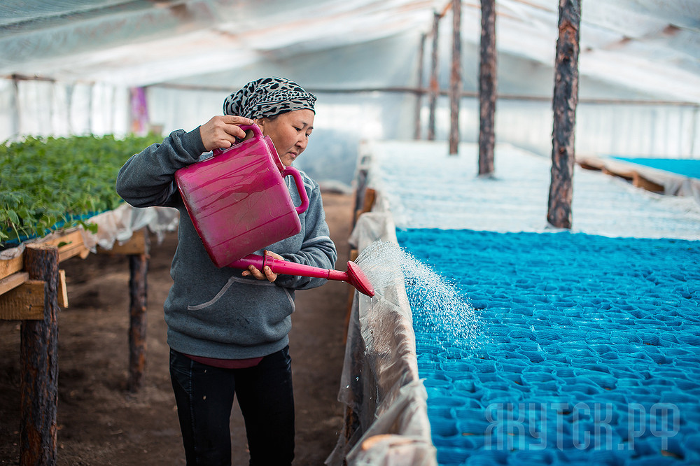В агропоясе столицы идет подготовка к весенне-полевым работам