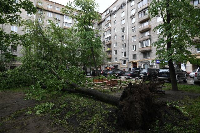 Опубликован список погибших при урагане в Москве