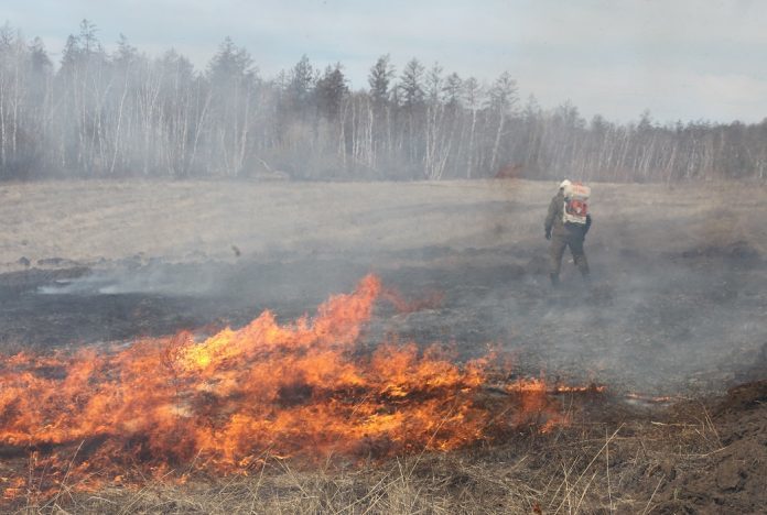 В Якутии 42 человека привлечено к ответственности за сельхозпал