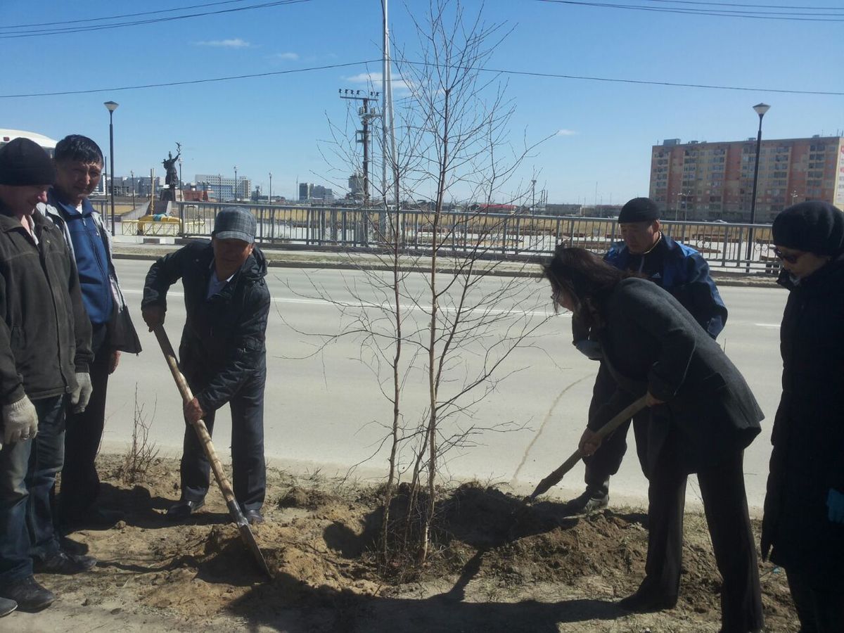 Медики высадили 300 саженцев на улице Лермонтова в Якутске