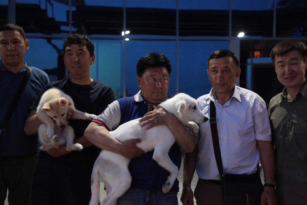 5b9a72b467c072c1ee2368126351dfae