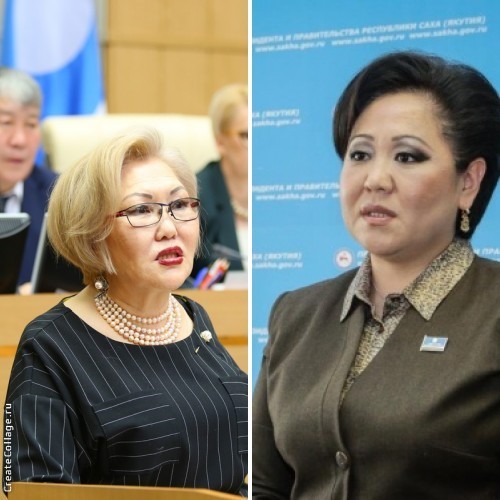 Омбудсмен Анна Соловьева посоветовала Минобществу быть активнее