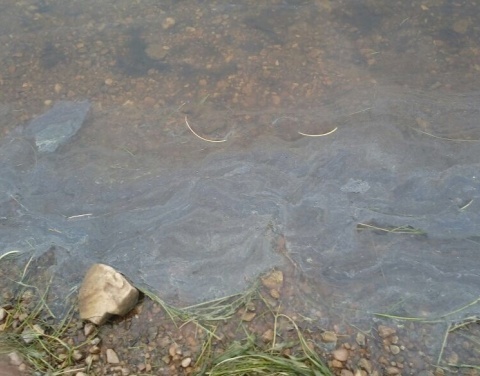 Минприроды Якутии проверяет сообщение о нефтяной пленке в реке Нюя