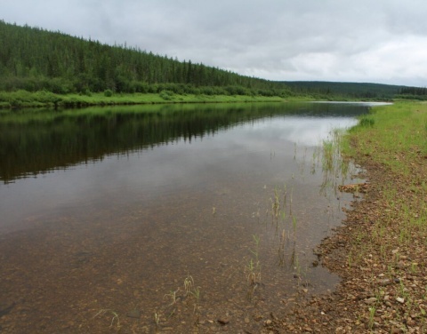 Стали известны результаты обследования реки Нюя в Ленском районе