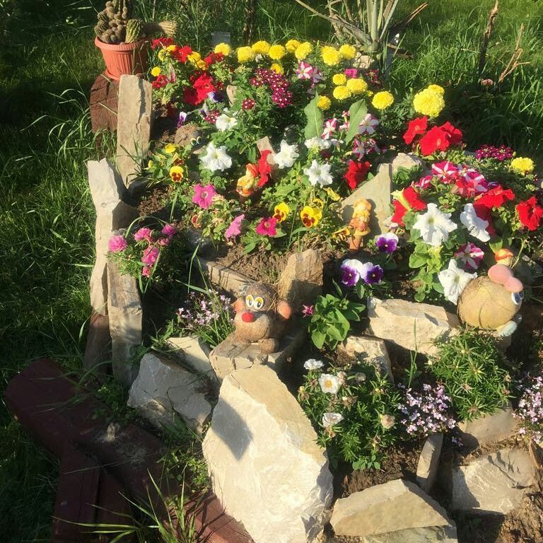 19931762_107002309948112_4534092877264846848_n