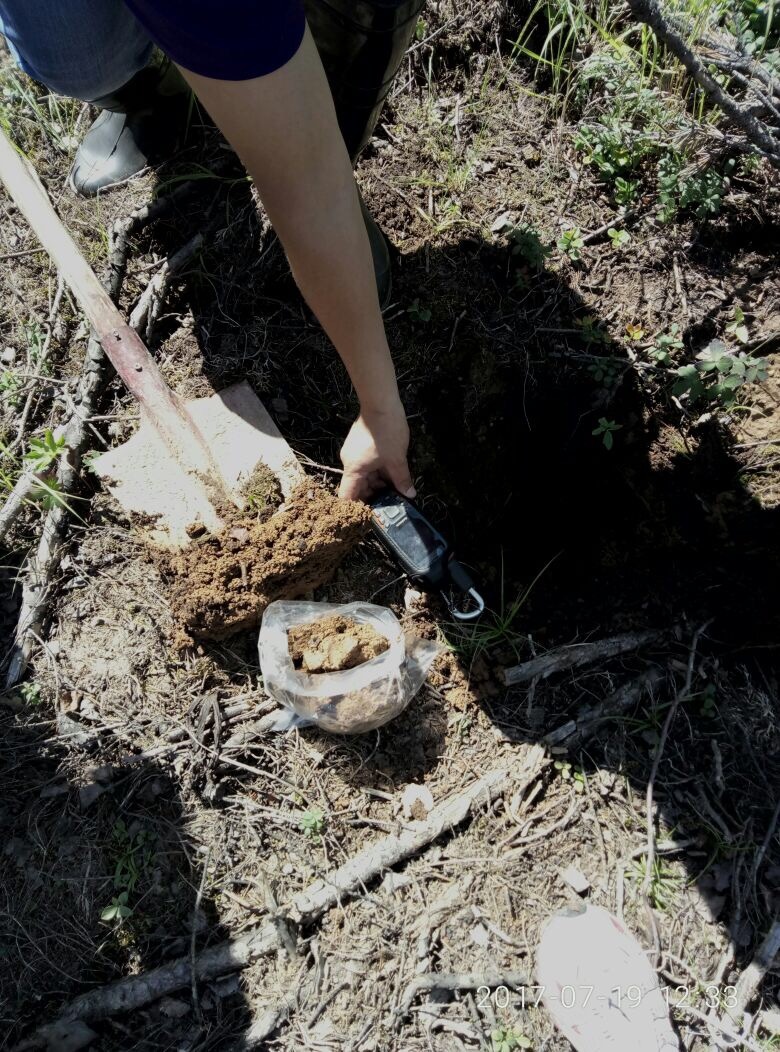 Загрязнение в Олекминском районе недропользователь объяснил кражей укрывочного материала