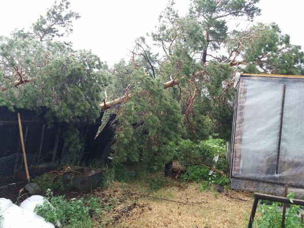 МЧС предупредило россиян о природных катаклизмах в июле