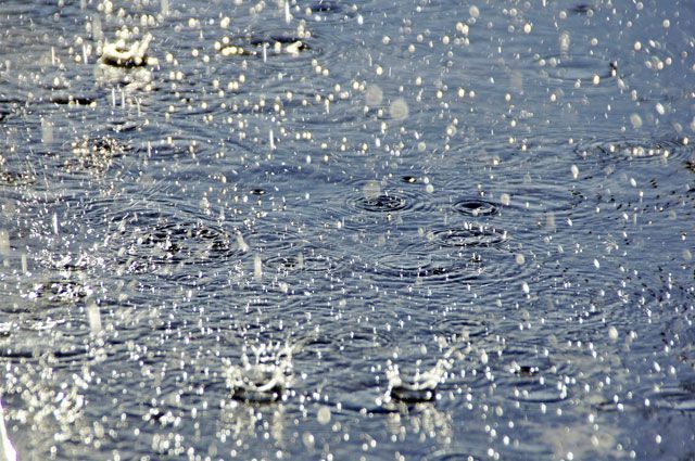 В некоторых районах Якутии ожидается усиление ветра и обильные дожди