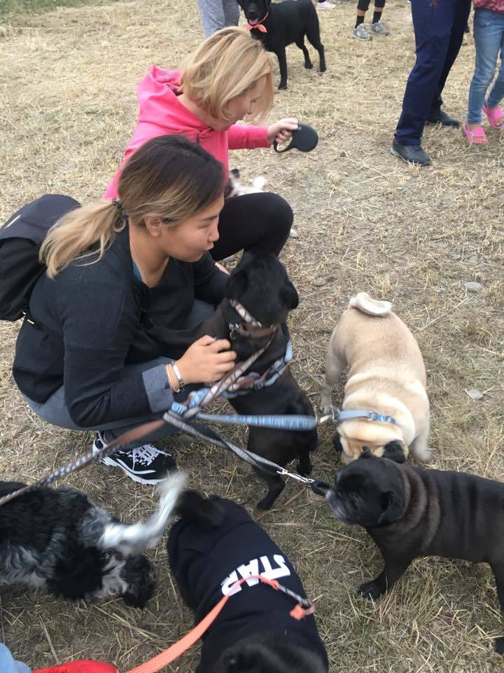 В Якутске появилась еще одна площадка для собак