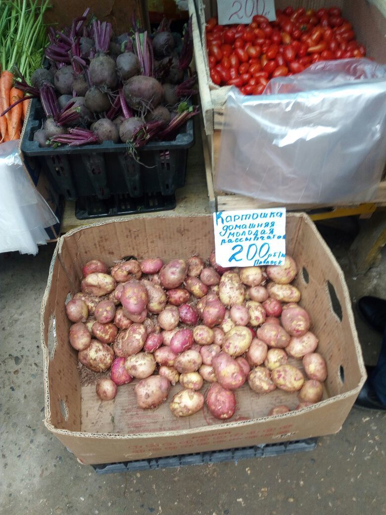 Фотофакт: В Якутске молодой картофель стоит 200 рублей за килограмм