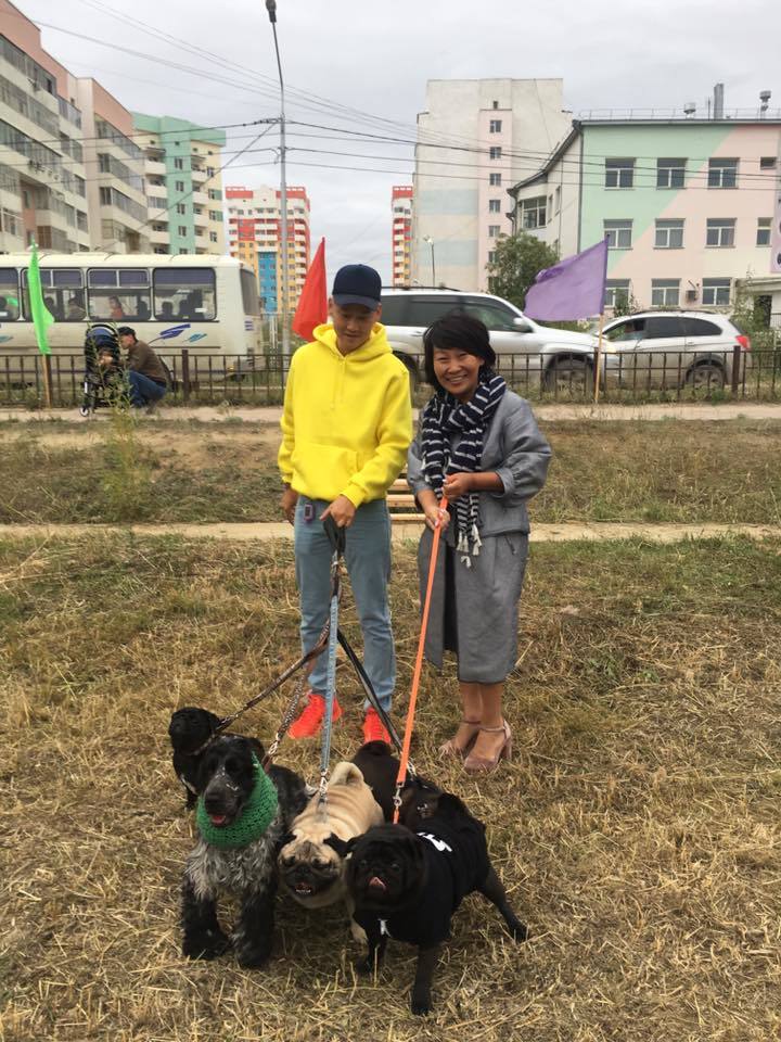 20915218_1541402252589324_3998284462854557589_n