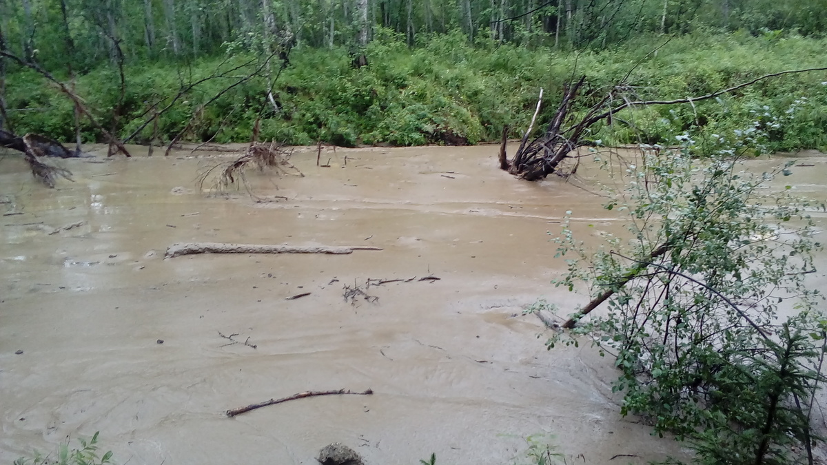В Якутии выявлен факт очередного варварского отношения к природе
