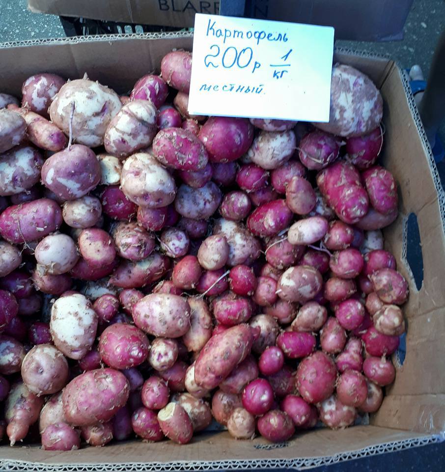 картошка 2