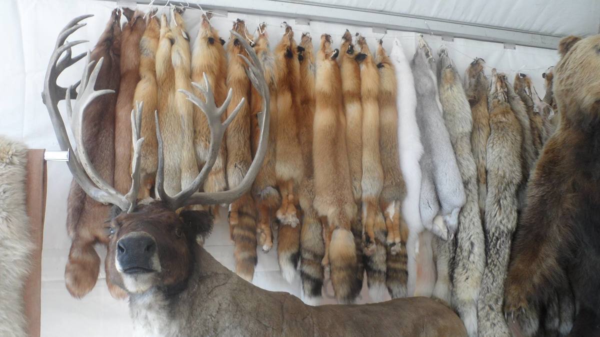 21762254_911403469036053_4485461373209368304_o